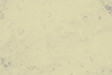 abstract grey and pale yellow colors background for design