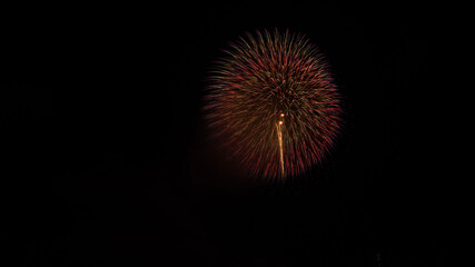 Fototapeta premium fireworks in the night sky