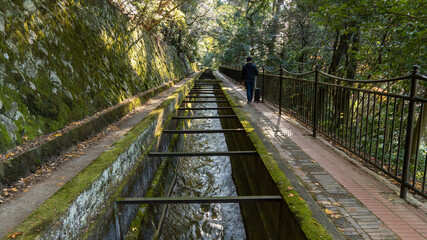 Obraz premium bridge in the forest