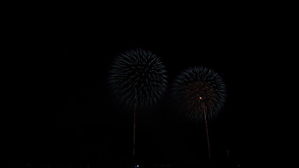 fireworks in the sky