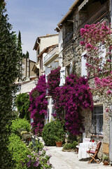 Fototapeta na wymiar Grimaud, Old Town Lane With Bougainvillea Glabra, Lesser Bougainvillea, Paper Flower, Cote D Azur, Southern France, Europe