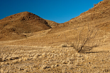Wild Desert-like Landscape In The Richtersveld, Ai-Ais Richtersveld Transfrontier Park, Northern Cape, South Africa