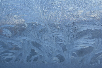 Flowers Of Ice On The Window