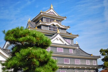 Okayama Castle also known as "crow castle" One of the tourism location in Okayama Prefecture, Japan.