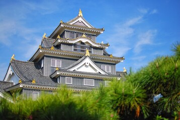 Fototapeta premium Okayama Castle also known as 