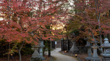 Naklejka premium autumn in the park