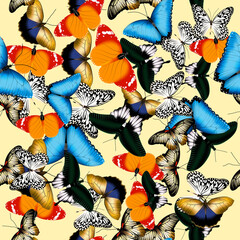 Realistic butterfly pattern. Seamless vector illustration of multicolored butterflies with spread wings