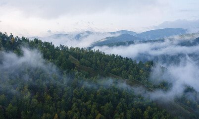 Mountains morning. Streams of white mist. Green Forest. The sky with the rising sun.
