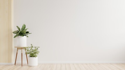 Fototapeta na wymiar White wall empty room with plants on a floor.