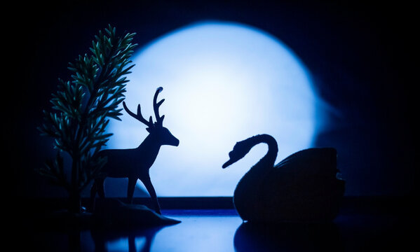 venado y cisne