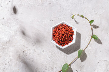 achiote grains in wooden bowl on white background (Bixa orellana)