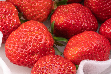 Red Strawberry in white packaging , Fresh Amaoh Strawberry in the box.