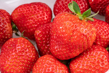 Red Strawberry in white packaging , Fresh Amaoh Strawberry in the box.