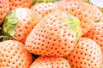 Fresh white strawberry, Japan fresh white strawberries.