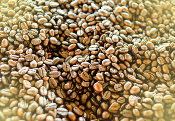 Picture of Roasted Coffee Beans, Light Fair