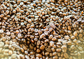 Picture of Roasted Coffee Beans, Light Fair