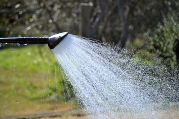 花壇に水まきをしているホースの散水です