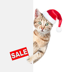 Cat wearing a red christmas hat holds sales symbol behind empty banner. isolated on white background