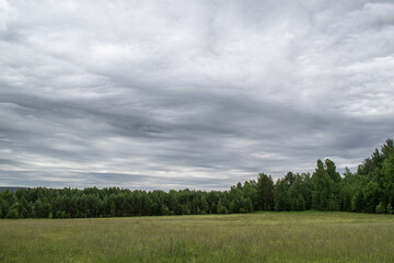 cloudy sky in the woods, summer field