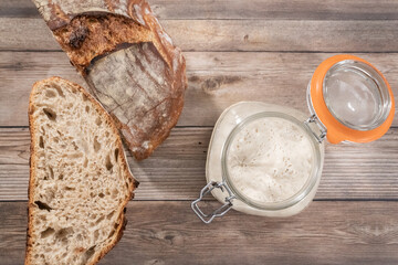 Sourdough starter