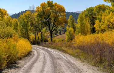 Autumn Country Road - Autumn morning view of a back country road, County Road 9 aka West Dallas Road, winding through a mountain ranch. Ridgway-Telluride, Colorado, USA.