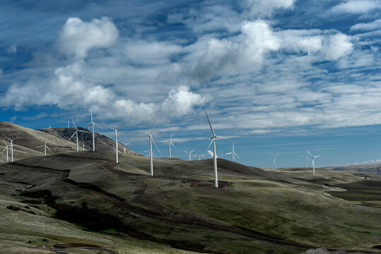 Windmills on a hillside Near Maryhill, Washington, Taken in Spring