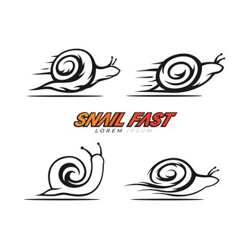 Set of Snail icon logo line art design vector template