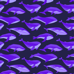 Obraz premium Repeated texture with hand drawn marine mammals: blue whale, white whale and sperm whale.