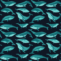 Repeated texture with hand drawn marine mammals: blue whale, white whale and sperm whale.