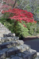 秋の神護寺　境内の紅葉　京都市