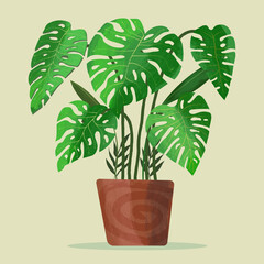 Monstera in planter illustration