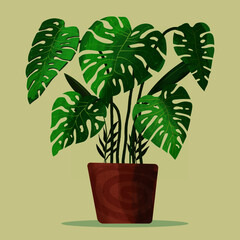 Monstera in planter illustration