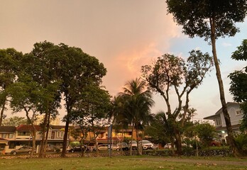 sunset in the park