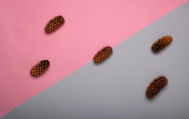 fir cones on pink and blue background