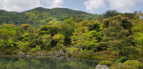 Obraz premium lake in the forest