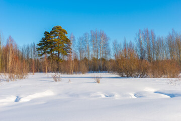 Winter landscape: a snowy field with hills and a forest in the background against a blue sky