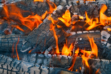 Burning log of wood close-up as abstract background. The hot embers of burning wood log fire.