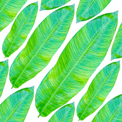 green leaves background