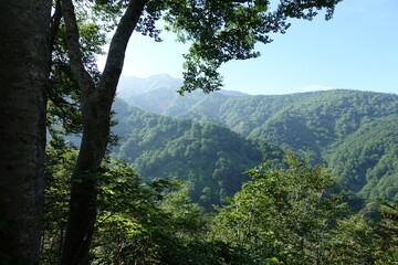 Fototapeta na wymiar 【登山】山岳・トレッキング・山脈【風景】