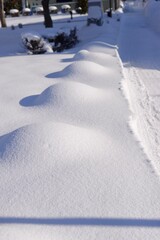 丸く積もった雪