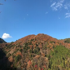 長野県阿南町の山奥の集落、和合の美しい紅葉の風景