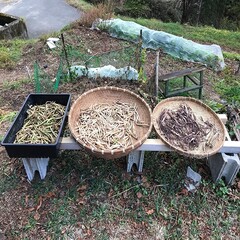 長野県阿南町の山の暮らしの風景