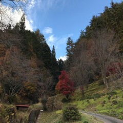 長野県阿南町の秋の雄大な自然の風景