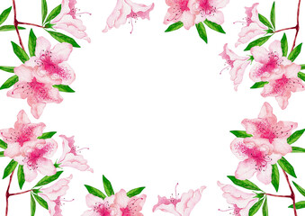 ツツジ 春　背景 フレーム　水彩 イラスト