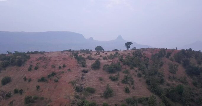 Green Lush Foliage At The Mountains During Hazy Morning At Trimbakeshwar Range In Western Ghats Of India. - Aerial Shot