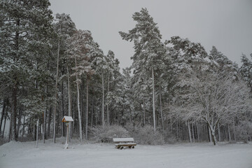 Landschaft im Winter
