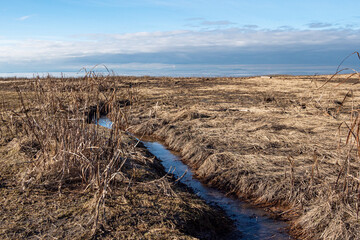 a ditch filled with water in the middle of the brown grasses filled marshland on a sunny day with...