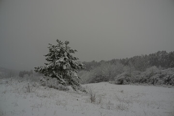Landschaft im Winter
