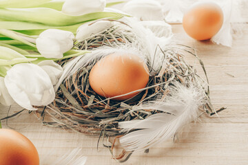 Easter symbol. Natural colour eggs in basket with spring tulips, white feathers on wooden table background in Happy Easter decoration. Congratulatory easter design.