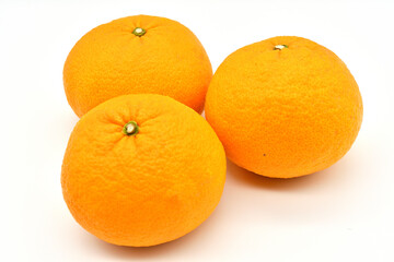 並べられたみかん（白背景）